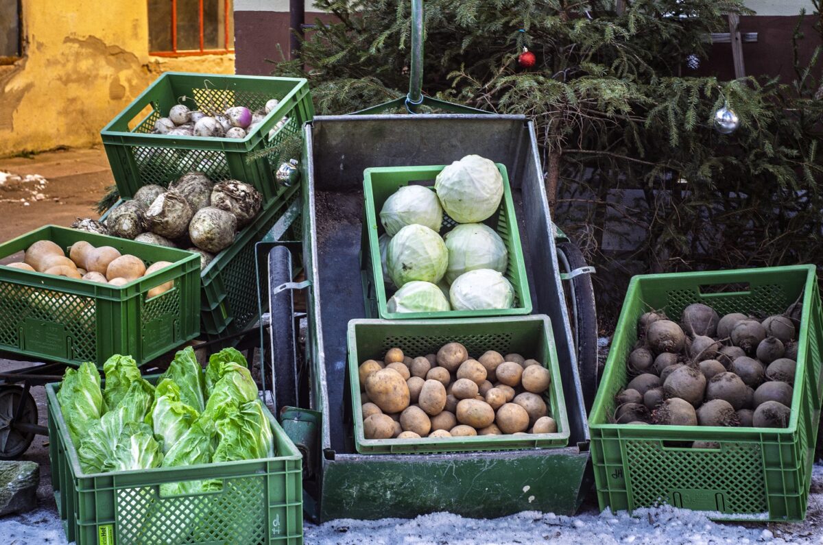 Gemüse im Januar